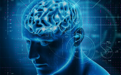 Reprogramming Human Behaviour for Success in the South African Real Estate Industry